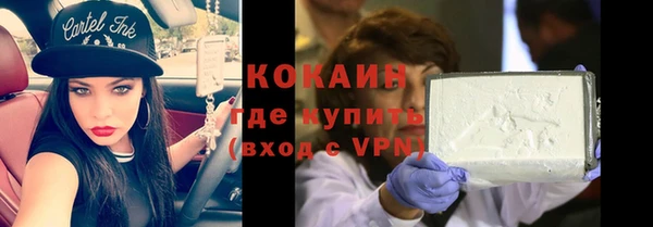 дживик Богородицк