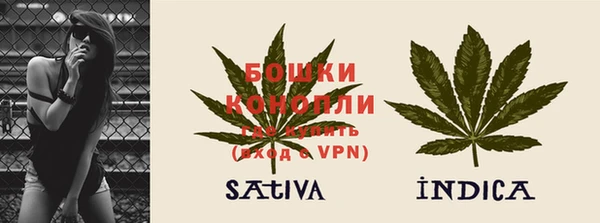 дживик Богородицк