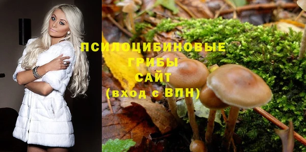 кокаин Богданович