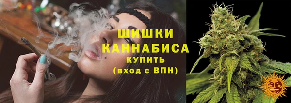 спайс Богородск